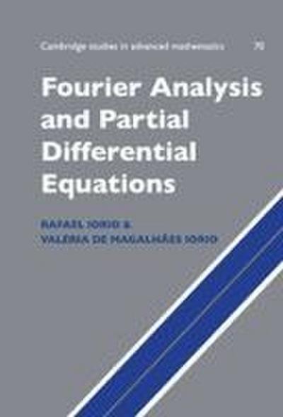 Fourier Analysis and Partial Differential Equations