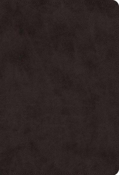 ESV Giant Print Value Thinline Bible (Trutone, Black)