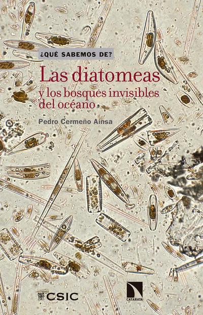 Las diatomeas y los bosques invisibles del océano