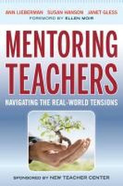 Mentoring Teachers