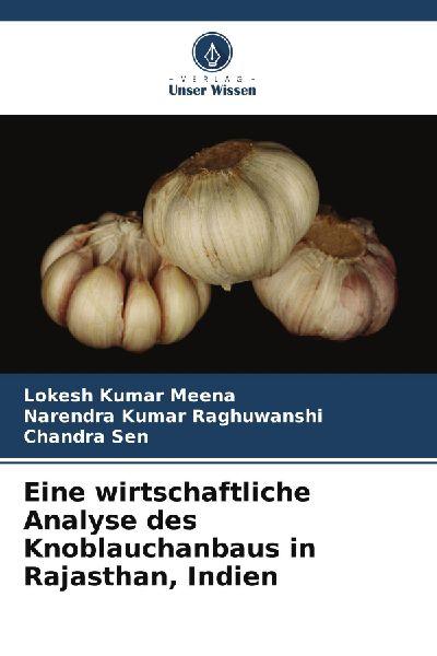 Eine wirtschaftliche Analyse des Knoblauchanbaus in Rajasthan, Indien