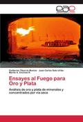 Ensayes al Fuego para Oro y Plata