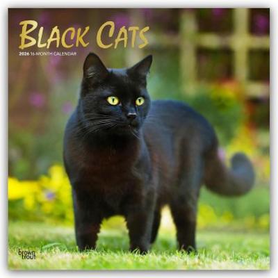 Black Cats - Schwarze Katzen 2026 - 16-Monatskalender