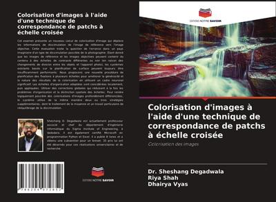 Colorisation d’images à l’aide d’une technique de correspondance de patchs à échelle croisée