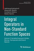 Integral Operators in Non-Standard Function Spaces