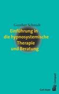 Einführung in die hypnosystemische Therapie und Be