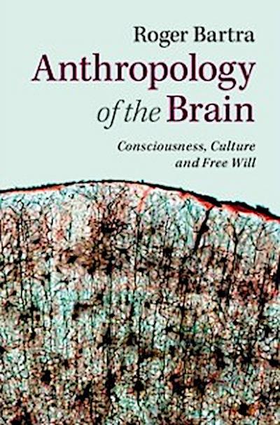 Anthropology of the Brain