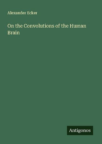 On the Convolutions of the Human Brain