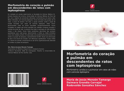 Morfometria do coração e pulmão em descendentes de ratos com leptospirose