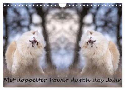 Mit doppelter Power durch das Jahr (Wandkalender 2026 DIN A4 quer), CALVENDO Monatskalender