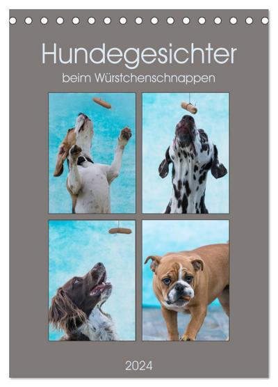 Hundegesichter beim Würstchenschnappen (Tischkalender 2024 DIN A5 hoch), CALVENDO Monatskalender