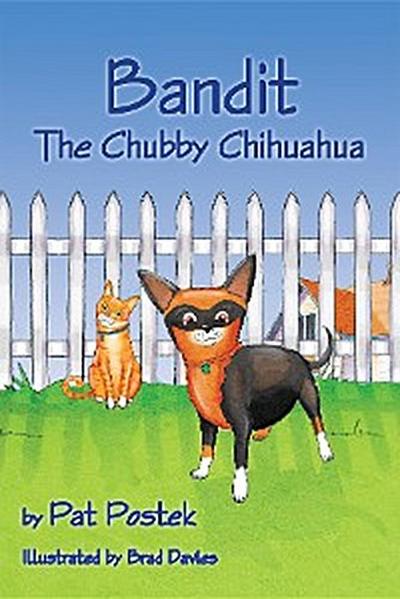 Bandit, The Chubby Chihuahua