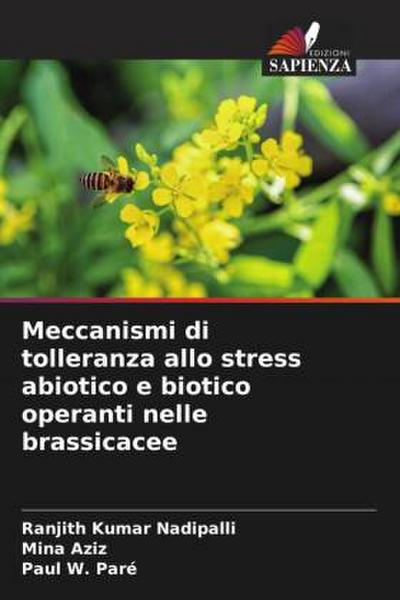 Meccanismi di tolleranza allo stress abiotico e biotico operanti nelle brassicacee