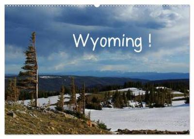 Wyoming! (Wandkalender 2026 DIN A2 quer), CALVENDO Monatskalender