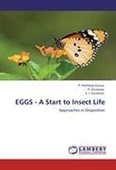 EGGS - A Start to Insect Life
