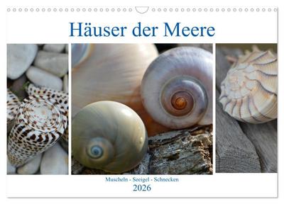 Häuser der Meere: Muscheln - Seeigel - Schnecken (Wandkalender 2026 DIN A3 quer), CALVENDO Monatskalender