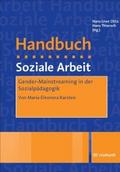 Gender-Mainstreaming in der Sozialpädagogik