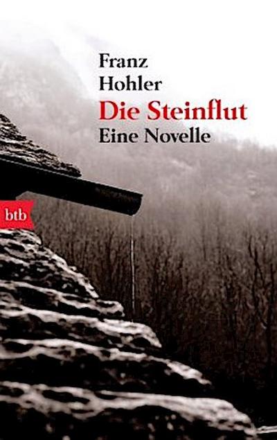 Die Steinflut