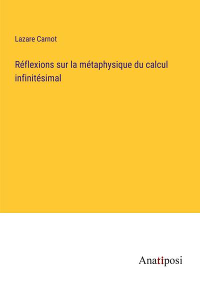 Réflexions sur la métaphysique du calcul infinitésimal
