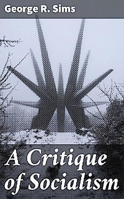A Critique of Socialism