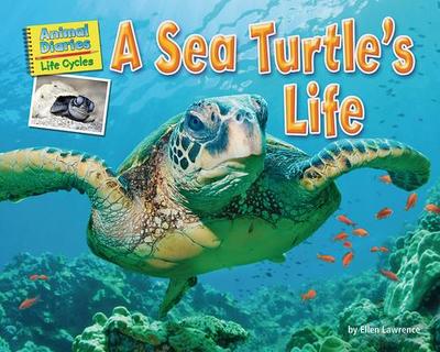 A Sea Turtle’s Life