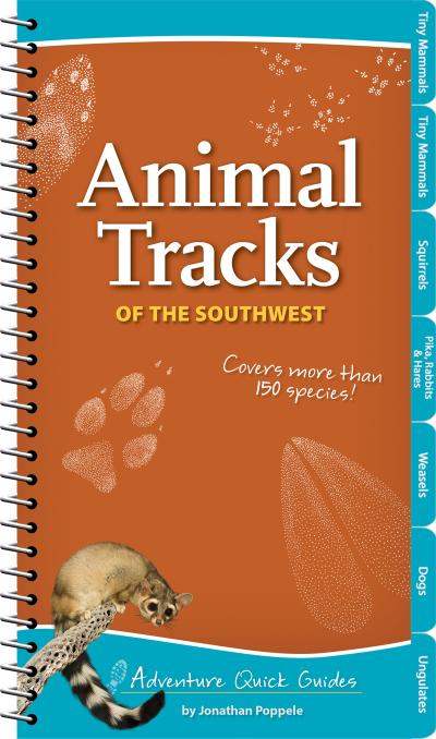 Animal Tracks of the Southwest