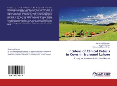 Incidenc of Clinical Ketosis in Cows in & around Lahore