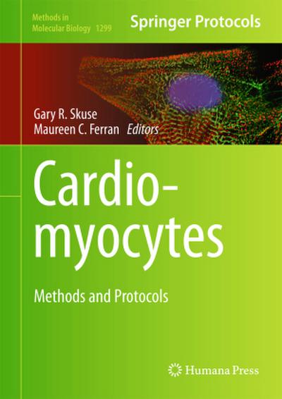 Cardiomyocytes