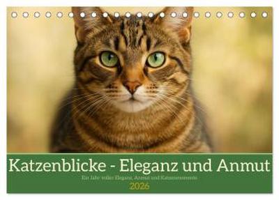 Katzenblicke - Eleganz und Anmut (Tischkalender 2026 DIN A5 quer), CALVENDO Monatskalender