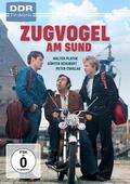 Zugvogel am Sund