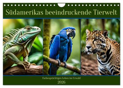 Südamerikas beeindruckende Tierwelt (Wandkalender 2026 DIN A4 quer), CALVENDO Monatskalender