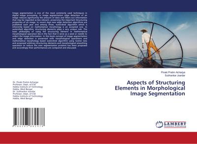 Aspects of Structuring Elements in Morphological Image Segmentation