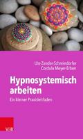 Hypnosystemisch arbeiten: Ein kleiner Praxisleitfaden