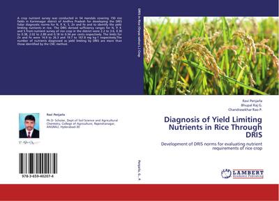Diagnosis of Yield Limiting Nutrients in Rice Through DRIS