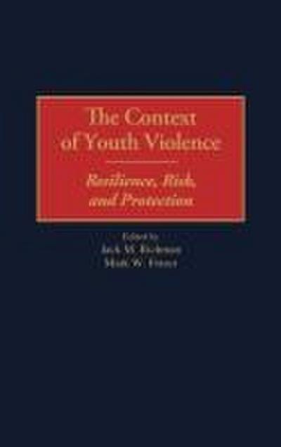 The Context of Youth Violence