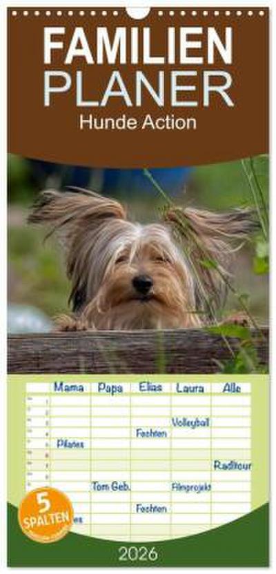 Familienplaner 2026 - Hunde Action mit 5 Spalten (Wandkalender, 21 x 45 cm) CALVENDO