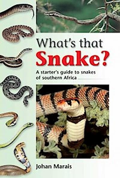 What’s that Snake?