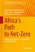 Africa’s Path to Net-Zero