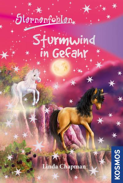 Sternenfohlen 15. Sturmwind in Gefahr