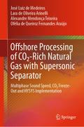 Offshore Processing of CO2-Rich Natural Gas with Supersonic Separator