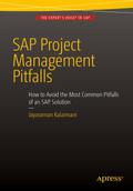 SAP Project Management Pitfalls