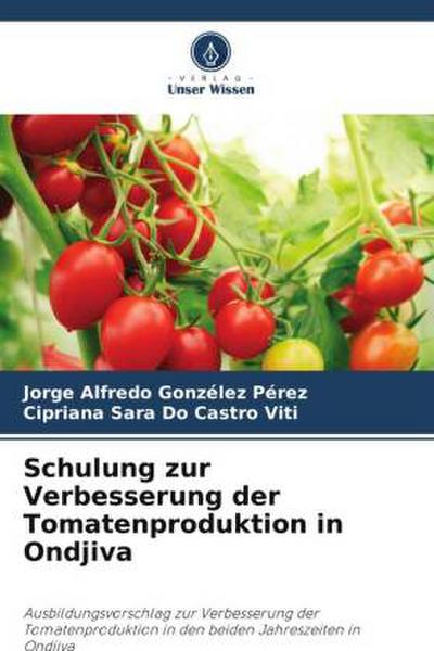 Schulung zur Verbesserung der Tomatenproduktion in Ondjiva