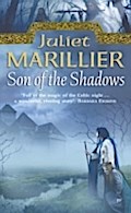 Son of the Shadows (The Sevenwaters Trilogy, Book 