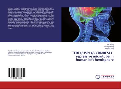 TERF1/USP14/CCRK/BEST1-repressive microtube in human left hemisphere