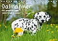 Dalmatiner - Ein immerwährender Geburtstags-Kalend