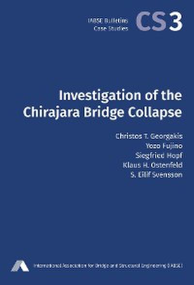 Investigation of the Chirajara Bridge Collapse