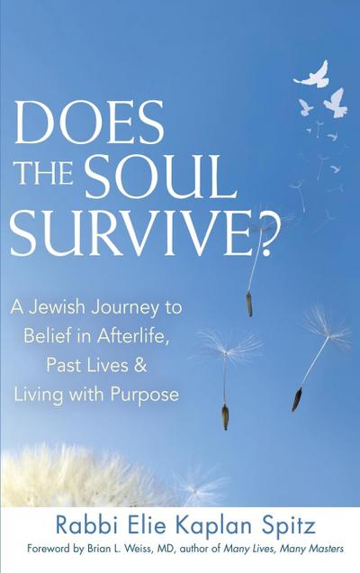 Does the Soul Survive? (2nd Edition)