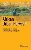 African Urban Harvest