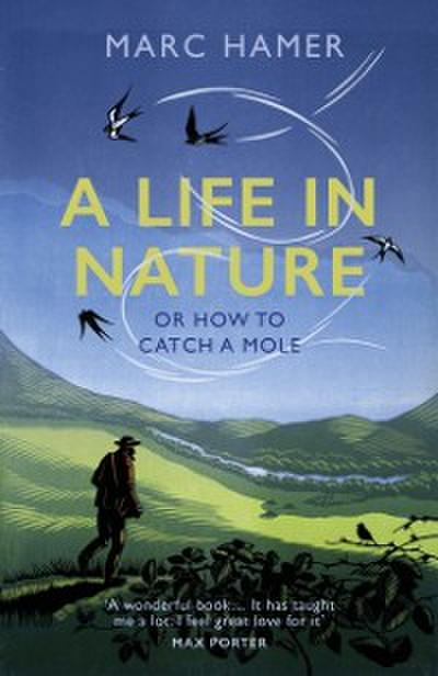 Life in Nature