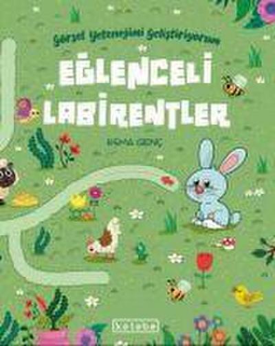Eglenceli Labirentler